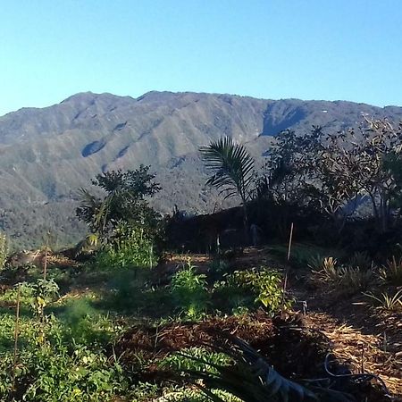 Ferme Lebon Papillon Le Chalet Kayamb Le Tampon Εξωτερικό φωτογραφία
